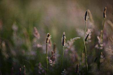 回忆逐渐清晰 玩家自制《马里奥赛车64》高清版补丁